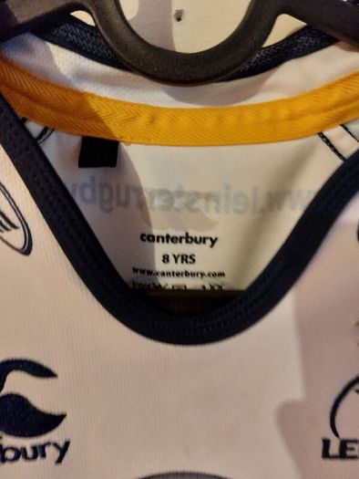 leinster rugby jersey