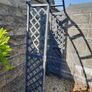 rose arbour Image 2