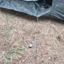 3 men pop up tent it's takes 3mins to setup Image 3