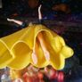 Snow White and the seven dwarfs Image 5