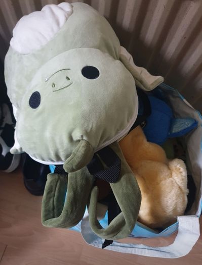 Free toys and teddy's
