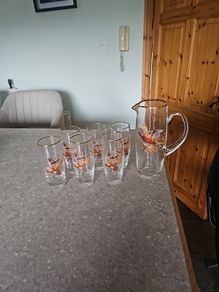 Vintage pheasant water tumblers and water jug