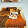 Nintendogs + Cats: Golden Retriever  3DS Image 2