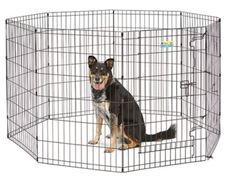 Black Exercise Pen