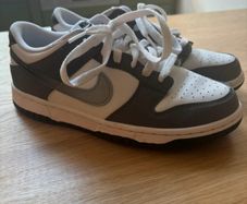 Nike Dunks Low