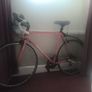 Sona Bike Image 2