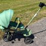 green trike Image 8