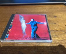 Peter Gabriel - US