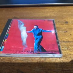 Peter Gabriel - US