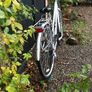 Ladies Bike Image 2