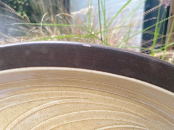 2x plates Franciscan bounty pattern