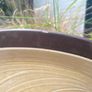 2x plates Franciscan bounty pattern Image 3