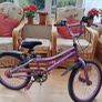 Childrens Bicycle 20" Image 2