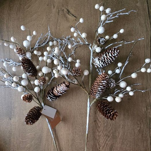 Christmas stems from The Range