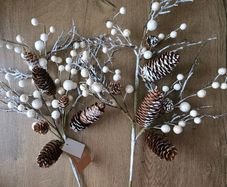 Christmas stems from The Range