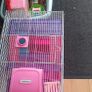 Free Hamster cage and Accessories Image 3