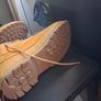 timberland Image 2