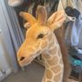 5ft giraffe toy/decoration Image 5
