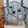Bird Cage Image 3