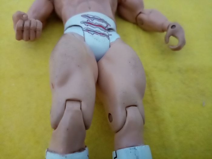Wrestlers WWE action Figure