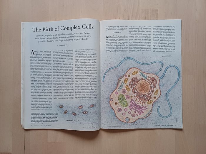 Scientific American Magazine Prehistoric Amber Issue 1996