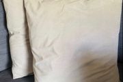 Paul Costelloe Beige Cushions x 2