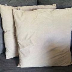 Paul Costelloe Beige Cushions x 2
