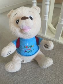 learning bear