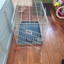 dog crate Image 3