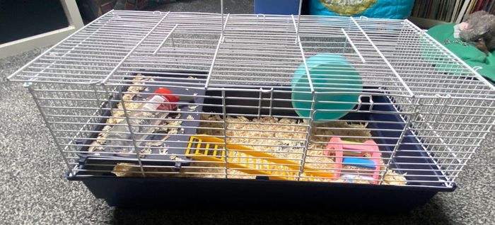 Hamster cage and accessories