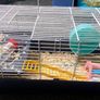Hamster cage and accessories Image 2