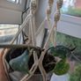 Satin Pothon incl. Hanging Basket and Pot Image 4
