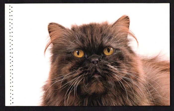 2014 Ireland Cats Commemorative Stamp Booklet Mint Never Hinged (MNH). Hibernian HB202. Photos of contents shown.