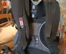 Phil and Ted walking/hiking baby carrier