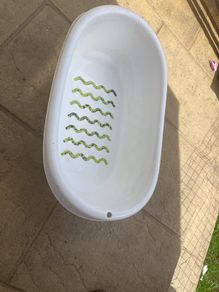 dog bath