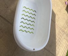 dog bath