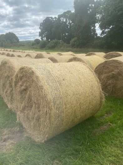 Organic Hay