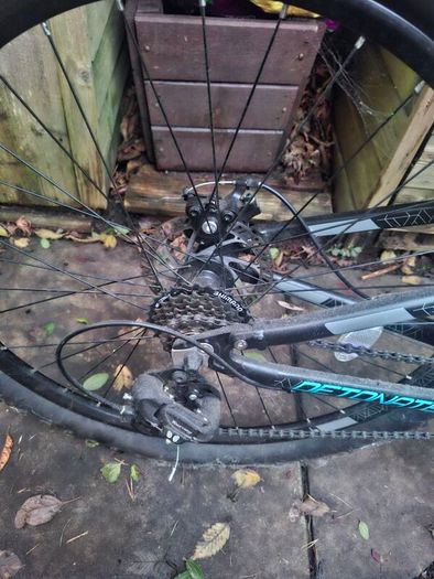 Carrerra mountain bike