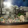 40 liter full glass aquarium with 2 filters and lots of extras Image 4