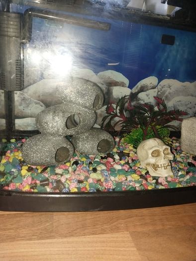 40 liter full glass aquarium with 2 filters and lots of extras