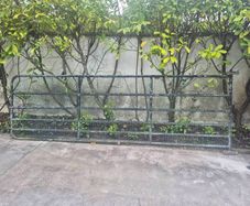 Gate 13ft x4ft.