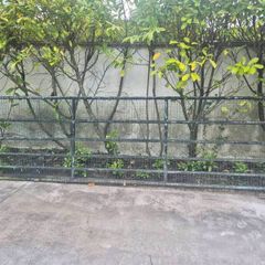 Gate 13ft x4ft.