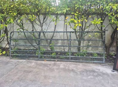 Gate 13ft x4ft.