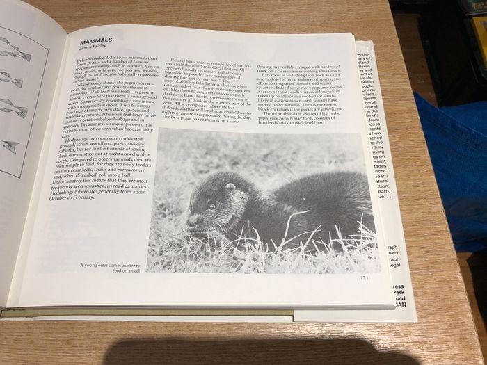 The Book of the " Irish Countryside"