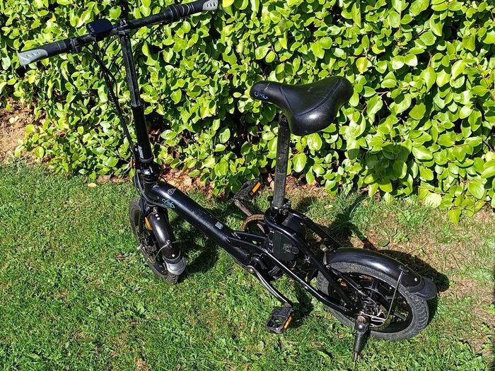 Fiido D3 Electric bike