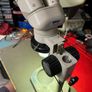 Nikon SMZ-2 Stereo Binocular Zoom Microscope Image 2