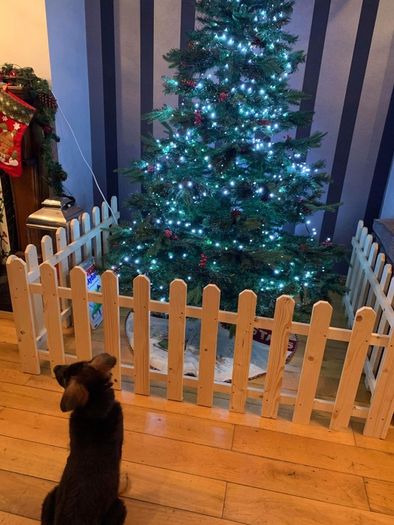 Christmas tree surrounds