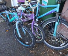 Bikes free