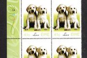 2003 Ireland Greetings Stamp (baby animals puppies) Plate Block 1A1A1A1A Mint Never Hinged (MNH)