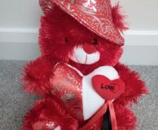 BN Valentine Plush Love Teddy / Soft Toy
